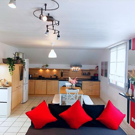 Le Duplex Decontracte Apartment Fleury-les-Aubrais Ngoại thất bức ảnh