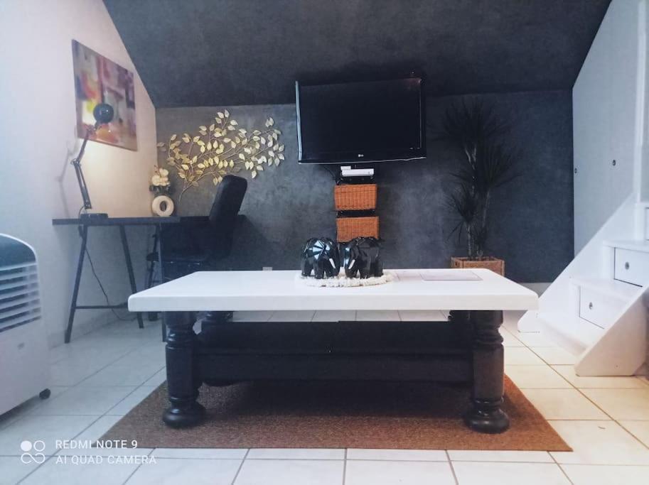 Le Duplex Decontracte Apartment Fleury-les-Aubrais Ngoại thất bức ảnh