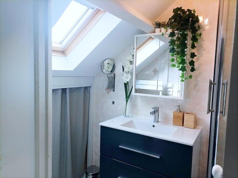 Le Duplex Decontracte Apartment Fleury-les-Aubrais Ngoại thất bức ảnh