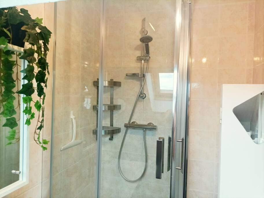 Le Duplex Decontracte Apartment Fleury-les-Aubrais Ngoại thất bức ảnh