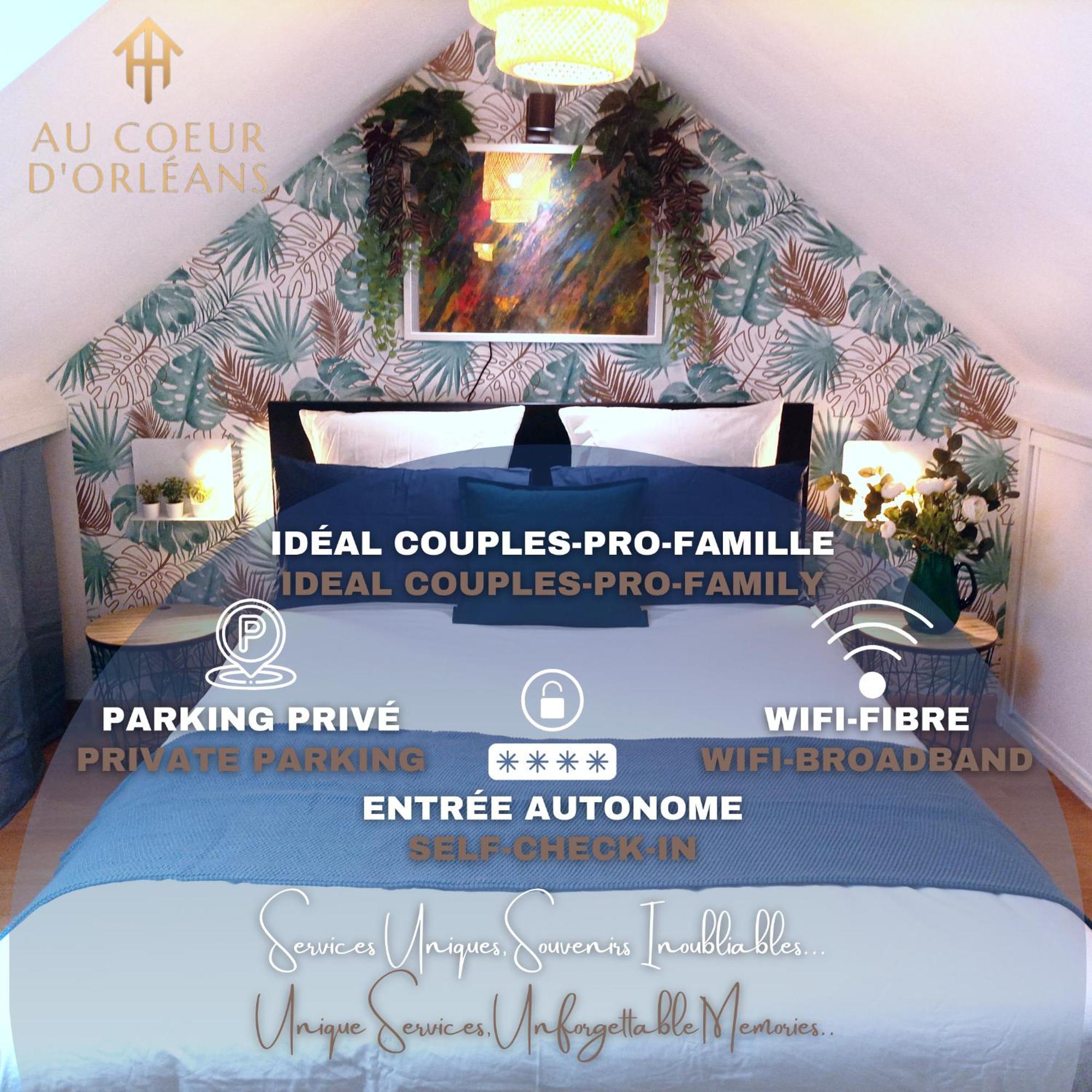 Le Duplex Decontracte Apartment Fleury-les-Aubrais Ngoại thất bức ảnh